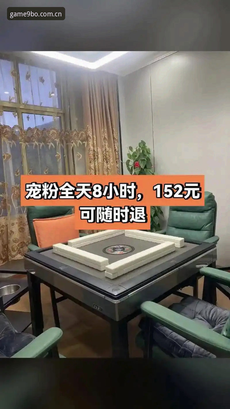揭秘博娱乐2024最新版背后的技术升级与用户真实反馈